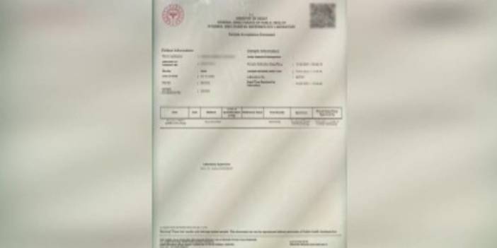 Sahte negatif test satan şebekeye 2'nci operasyon