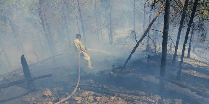 Anamur'da orman yangını