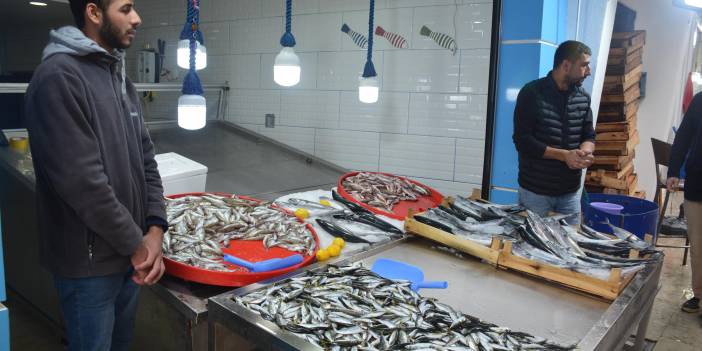 Karadeniz'de fırtına: Balık fiyatları ikiye katladı