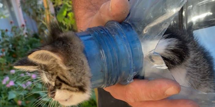 Bu yaramaz kafasını sıkıştırdı