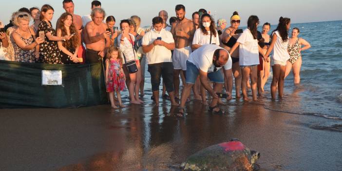 Antalya'da caretta caretta sevinci
