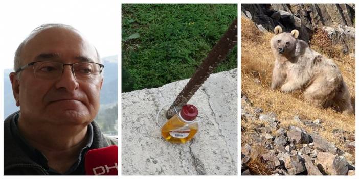 Prof. Dr. Kadıoğlu'ndan evine dadanan ayıya 'kovucu çift' önlemi: Ayı benden de meşhur oldu