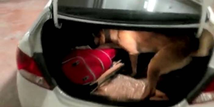 'Fırtına'nın yardımıyla 20 kilo metamfetamin ele geçirildi