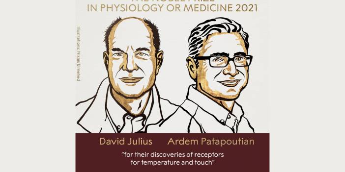 Nobel Tıp Ödülü'nün sahipleri açıklandı