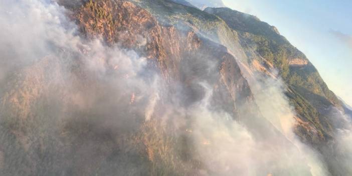 Muğla'daki orman yangını 11 saat sonra kontrol altına alındı