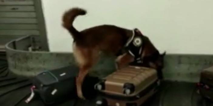 Antalya havalimanında uyuşturucu operasyonu kamerada