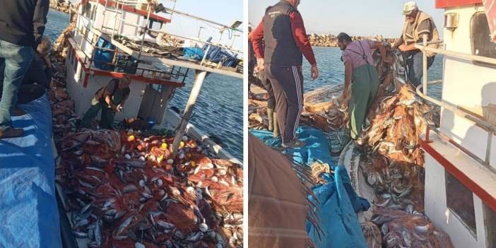 Balıkçı, 15 bin tane lüfer yakaladı: Teknenin batmasından endişe ettik