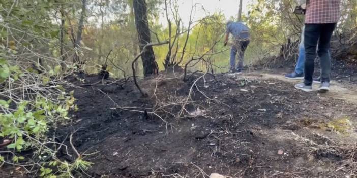 Orman yangını çıkarıp kaçtı, kovalamacanın ardından yakalandı