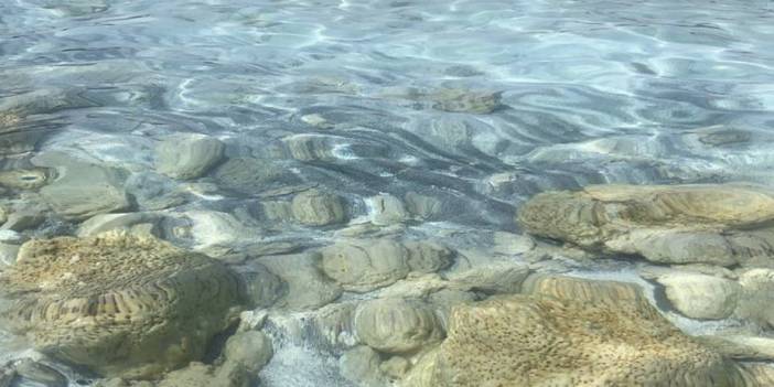 NASA'dan yeni Salda Gölü paylaşımı: Yaşamın sırrı