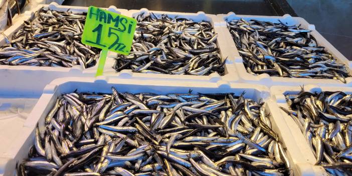 Karadeniz'de hamsi bolluğu: Fiyatlar düştü