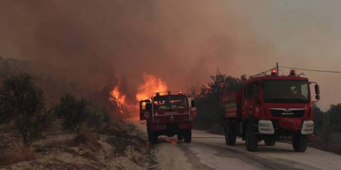 Hatay'da orman yangını