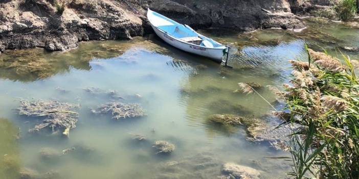 Göllerde 'çürüme' felaketi