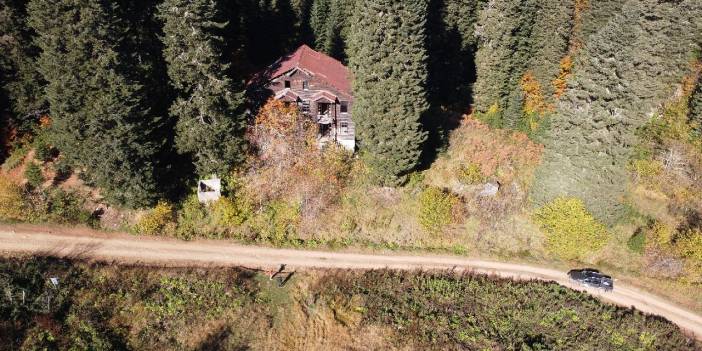 Bartın yaylalarında renk cümbüşü