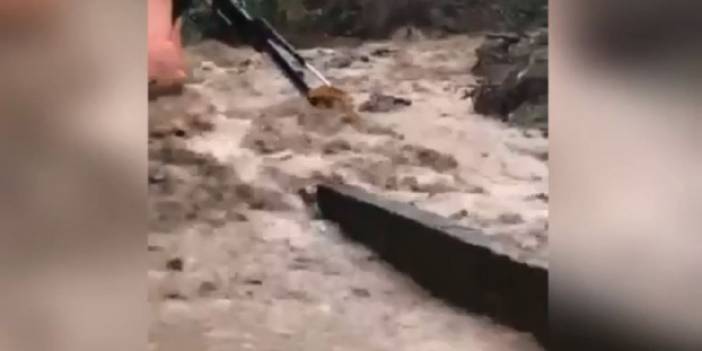 Bozkurt’ta korkutan yağış! Sokaklar sular altında kaldı