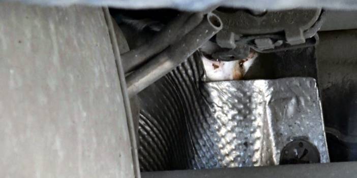 Taksinin motoruna giren inatçı kediyi usta çıkardı