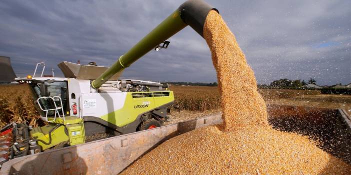 Erdoğan buğday-arpa alım fiyatını belirledi