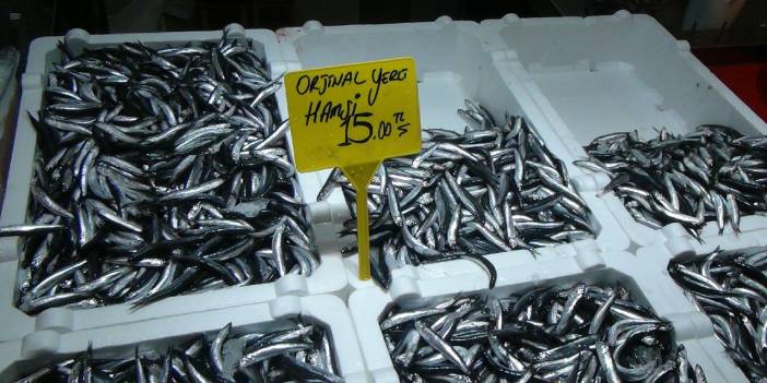 Karadeniz'in fırtınası dindi, hamsi ucuzladı