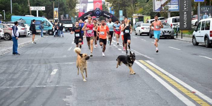 Beşiktaş’ta Bebek 10K koşusu ve spor festivali