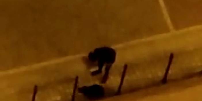 Köpeğini acımasızca dövdü! İşte o anlar kamerada