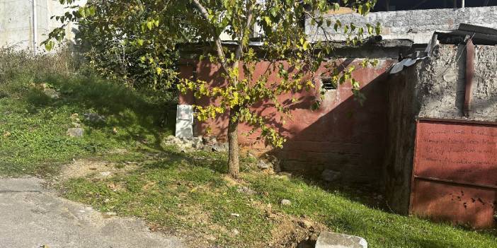 Sabah işe giderken yol kenarında bebek buldular