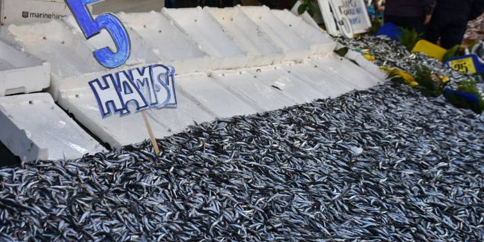 Hamsinin kilosu 5 liraya düştü