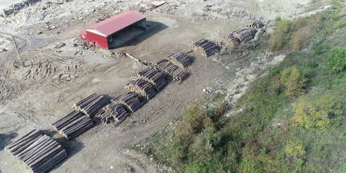 Selde yıkıma yol açan tomruklar, dere yatağında