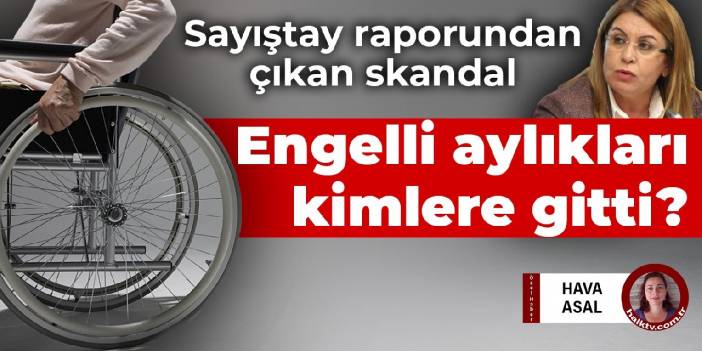 Sayıştay raporundan çıkan skandal! Engelli aylıkları kimlere gitti?