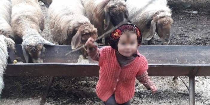 Müslüme'yi arama çalışmalarında 7'nci gün: Ayak izinden takip