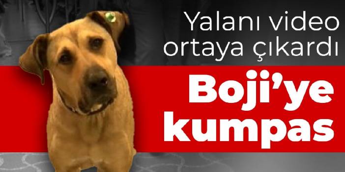 Boji'ye kumpas kurmaya kalktı