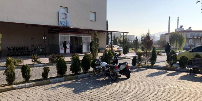 'Seri kedi katili' aranmaya devam ediyor: 4 bacağı da kesik kedi ölüsü bulundu