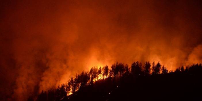 Hükümlüler orman yangınlarına müdahale edecek