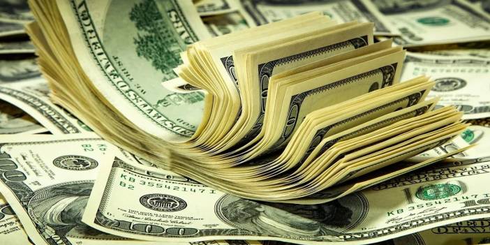 Dolar 14 liraya dayandı