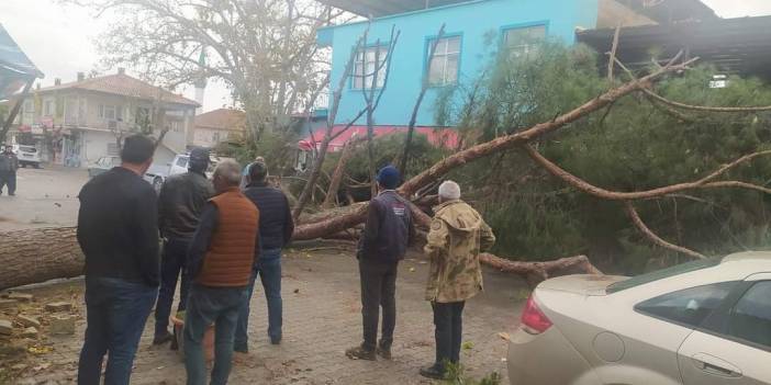 Fırtınada çam ağacı otomobilin üzerine devrildi