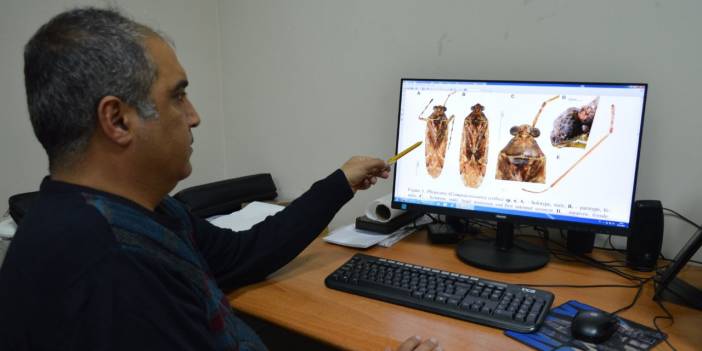 Yeni keşfedilen böceğe eski tarım bakanının adını verdiler