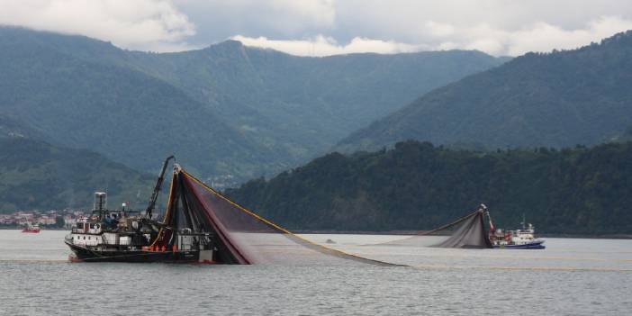 Karadeniz ısındıkça balıklar azalıyor