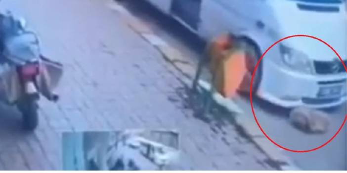Köpeğe akıl almaz şiddet: Biri ezdi, diğeri duba fırlattı