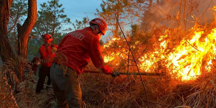 Karadeniz'de selden sonra yangın tehlikesi