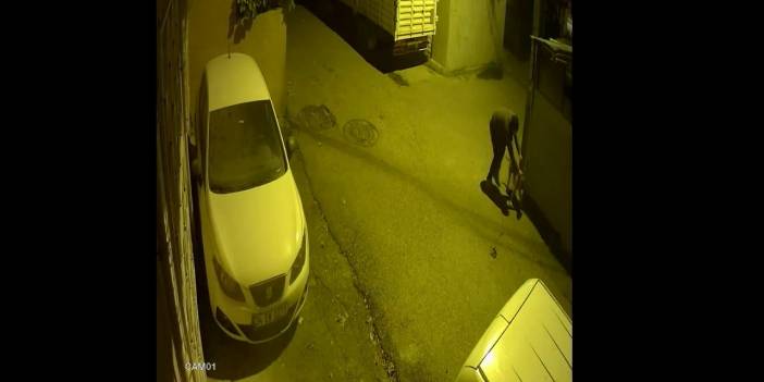 Pendik'te köpeğe işkence, zanlı gözaltında