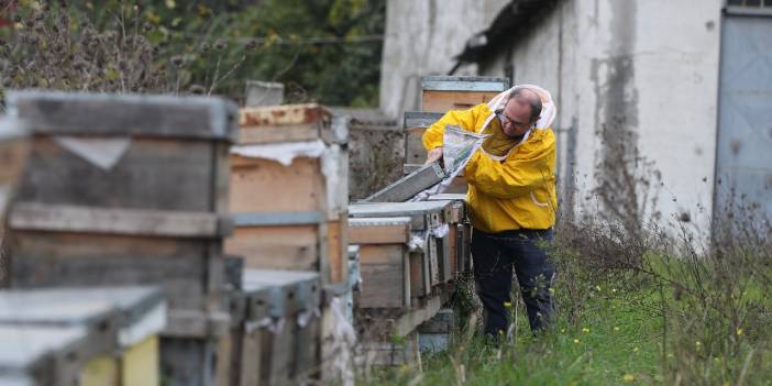 Kuraklık balı vurdu; arılar ölüyor, üretim düşüyor