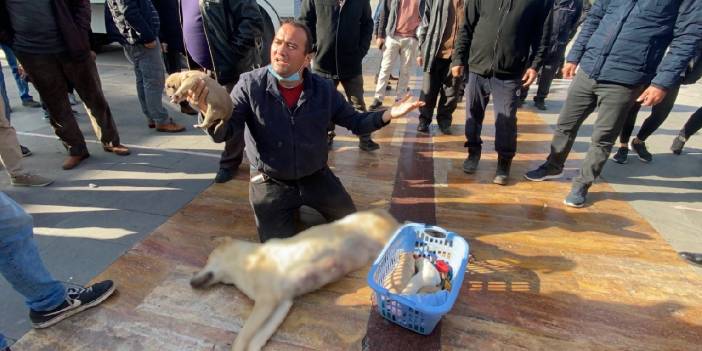 Köpeğinin öldürülmesine tepki gösterdi, gözaltına alındı