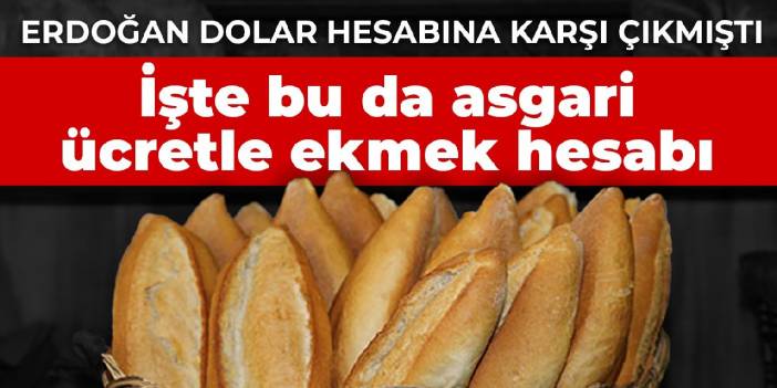 Erdoğan 'dolar hesabına' karşı çıkmıştı: İşte bu da asgari ücret ve ekmek hesabı