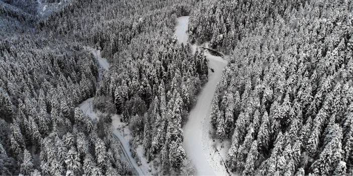 Yedigöller yolu ulaşıma kapatıldı, tatilciler geri dönmek zorunda kaldı