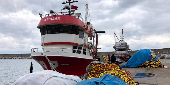 Kur balıkçıları da vurdu: Sezonu erken kapattılar