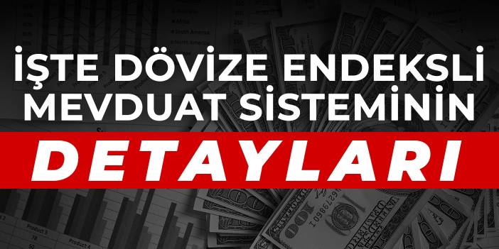 İşte dövize endeksli mevduat sisteminin detayları