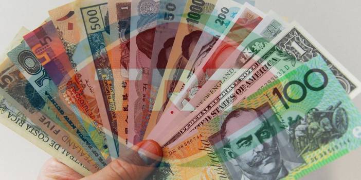 Kasasından 11 çeşit döviz çıktı! 'TRT TL'ye güvenmiyor mu?'