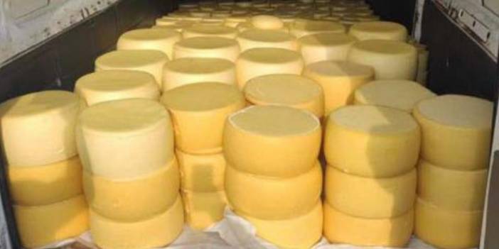 Sivas'ta 1 ton 800 kilo menşei tespit edilemeyen kaşar peyniri ele geçirildi
