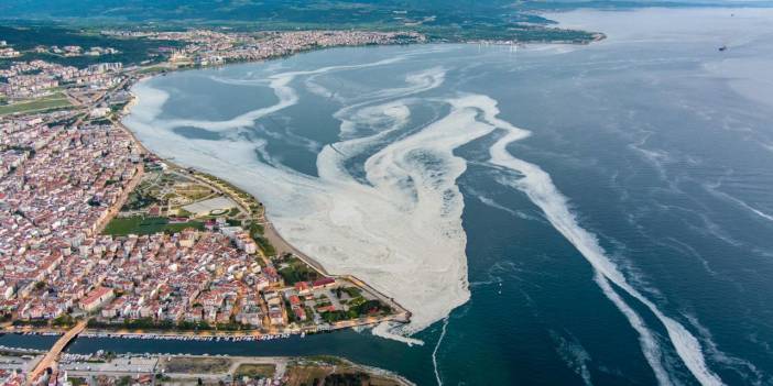 Kirlilik ve küçük balık avcılığı müsilaj oluşumunu tetikliyor
