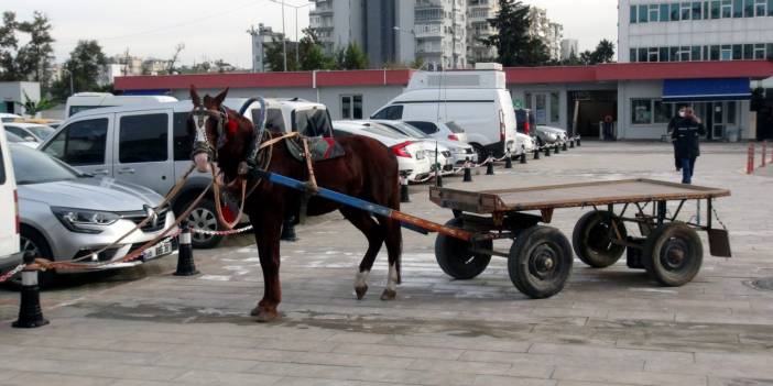 At arabalı seyyar torbacılar yakalandı