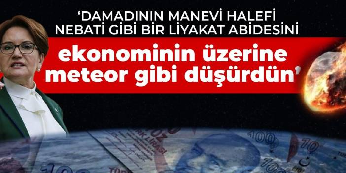 'Damadının manevi halefi Nebati gibi bir liyakat abidesini ekonominin üzerine meteor gibi düşürdün'