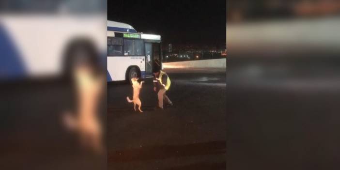 EGO şoförünün köpekle eğlenceli anları kamerada